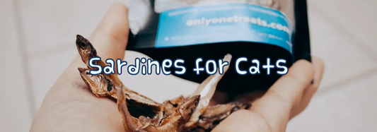 Sardine Cat Treats