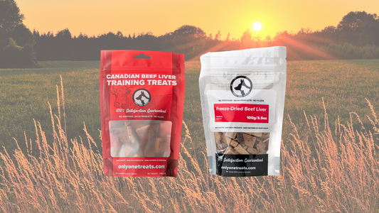 Beef Liver Dog Treats - Only One Treats