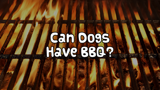 What BBQ Foods Can Dogs Have?