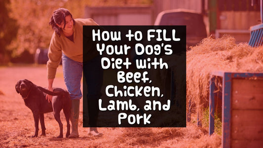 Barnyard Favourites - Beef, Chicken, Lamb, and Pork - Only One Treats