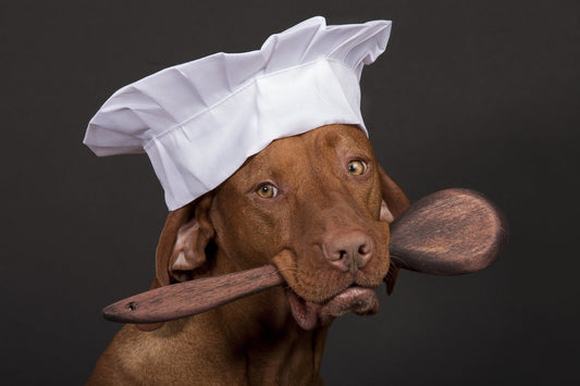 A Brief History of Fido’s Favourite Food - Only One Treats