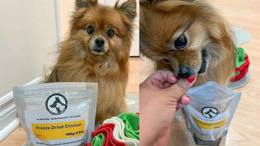 Chicken Dog Treats for Your Furry Friend - Only One Treats