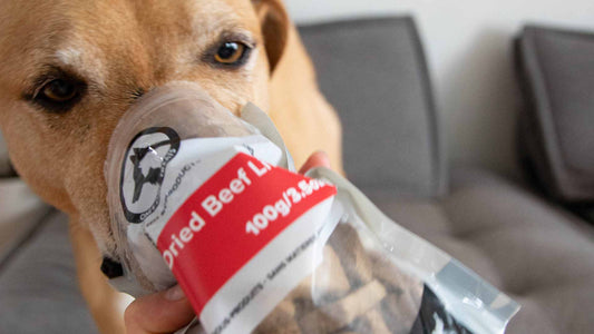 Why Freeze-Dried Dog Treats are the Best - Only One Treats