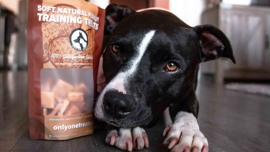 Meat-Free Dog Treats - Only One Treats