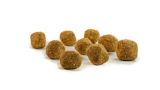 No-Bake Peanut Butter Balls - Only One Treats