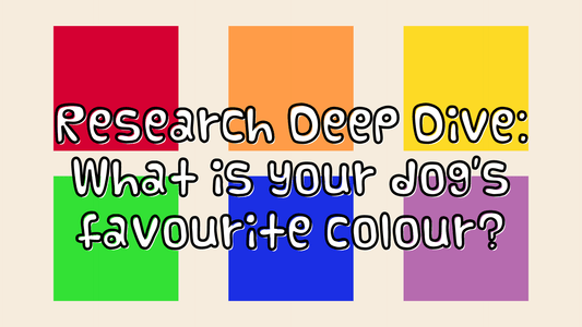 Research Deep Dive: What is your dog's favourite colour? - Only One Treats
