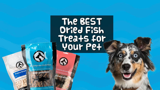 The Best Dried Fish Treats for your Pet - Only One Treats