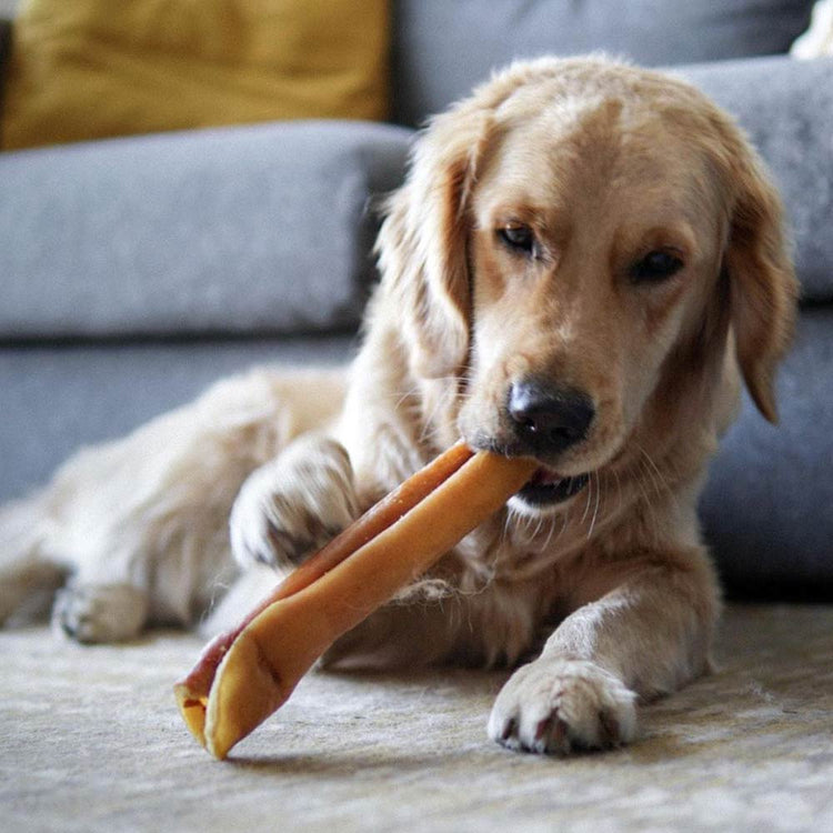Homepage Banner 1 - 10"+ Pork Skin Roll - Only One Treats