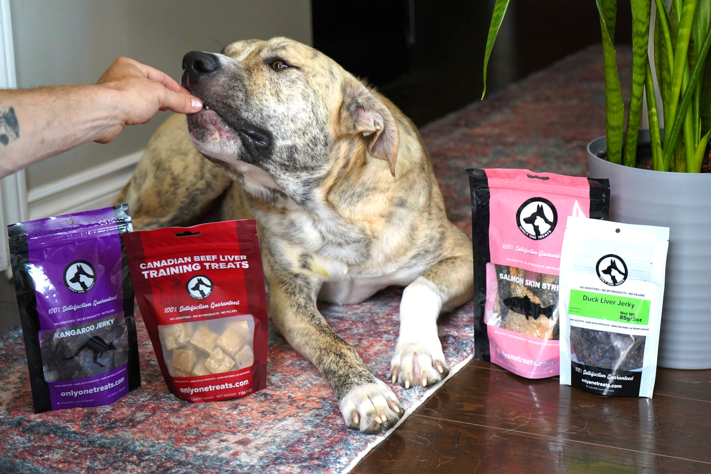 Dog Treat Box - From Our Kitchen Box