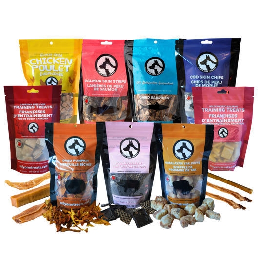 Mighty Big Box - Only One Treats - Dog Treat Box - Variety Box - Bulk Dog Treats
