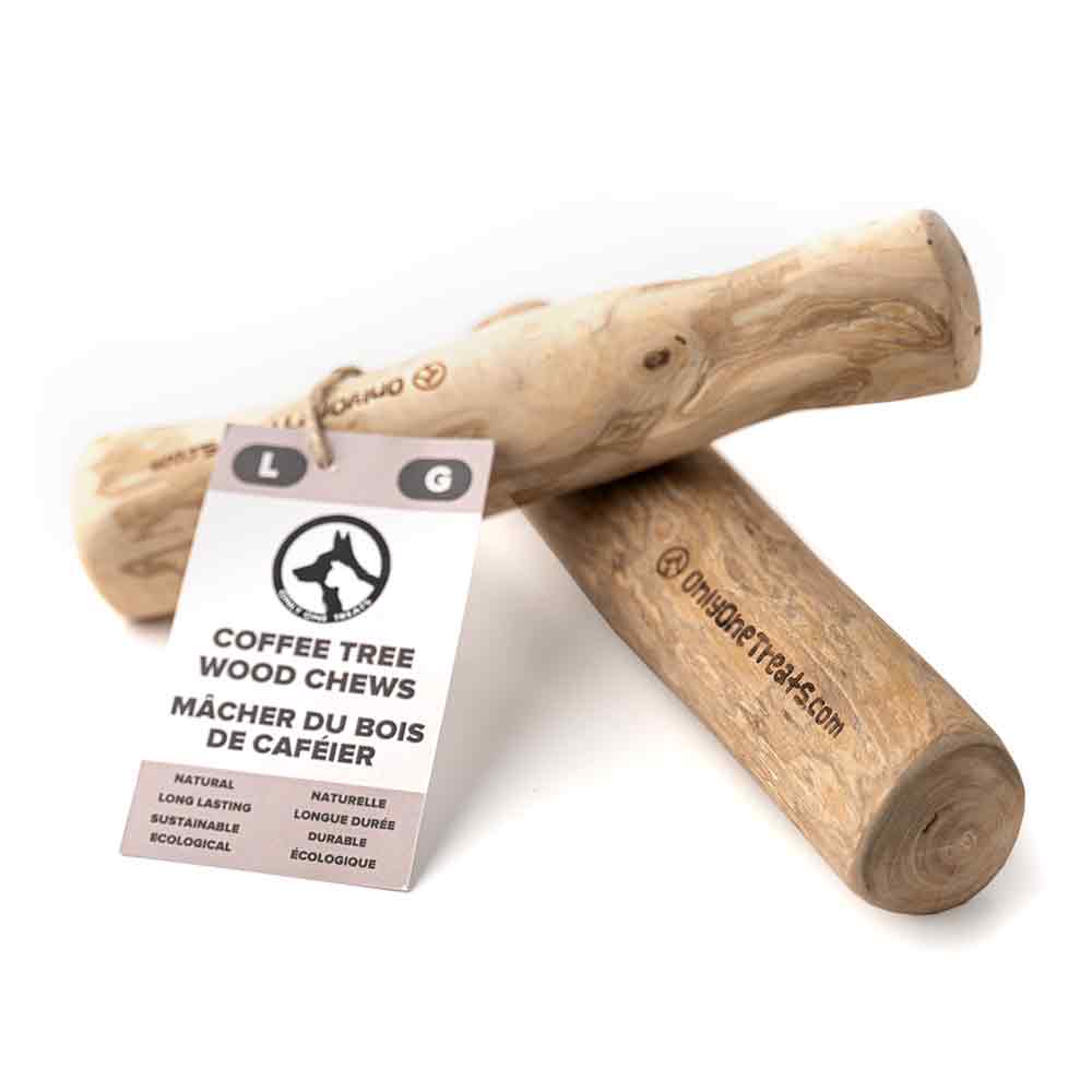 Large Coffee Wood Chew