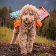 Bailey with our From Our Kitchen Box - Only One Treats