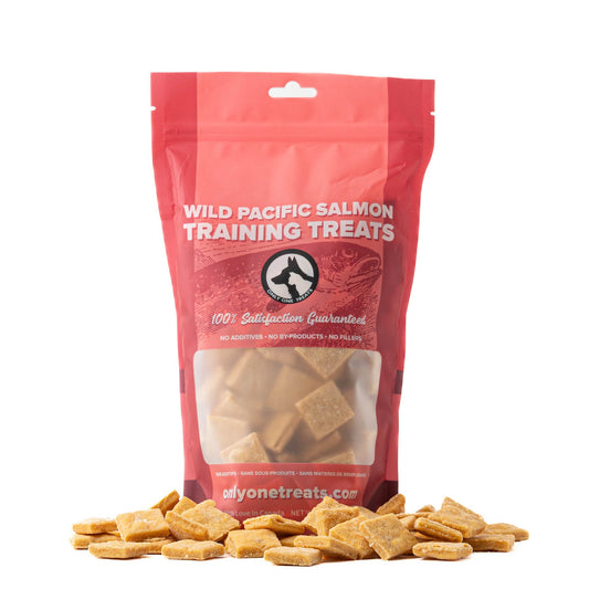 Wild Pacific Salmon Training Treats 680g - Only One Treats