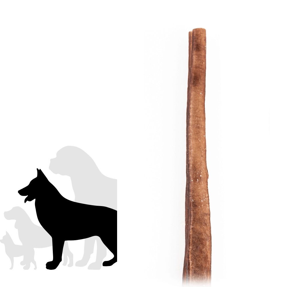 12" Jumbo Bully Stick - Only One Treats