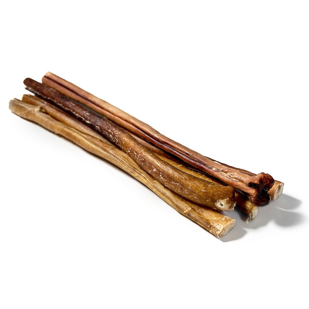 12" Jumbo Bully Stick - Only One Treats