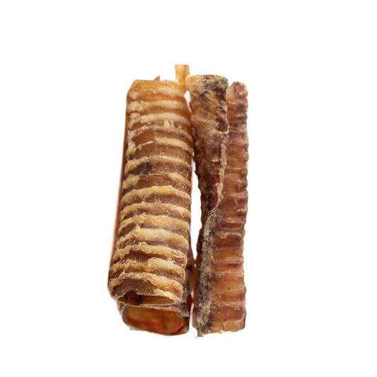 6" Beef Trachea - Only One Treats
