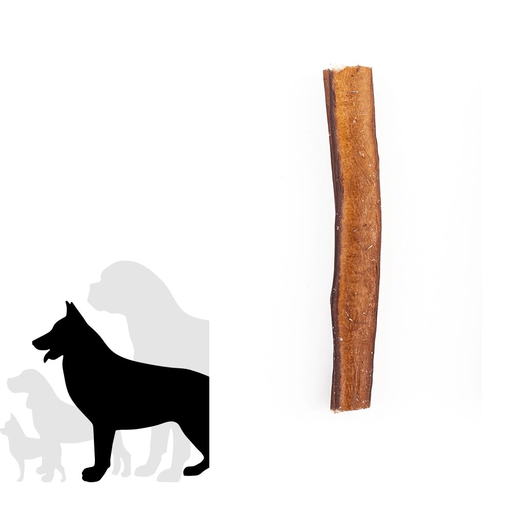 6" Jumbo Bully Stick - Only One Treats