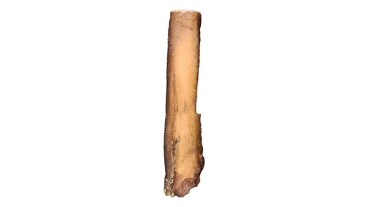 6" Monster Bully Stick - Only One Treats