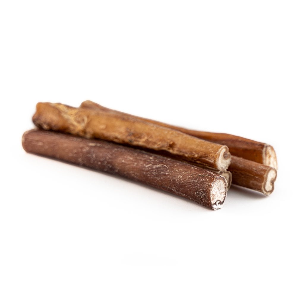 6" Standard Bully Stick - Only One Treats
