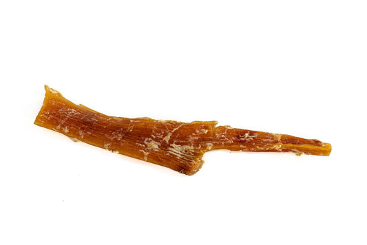 8"-12" Beef Tendon Dog Chew - Large - Only One Treats