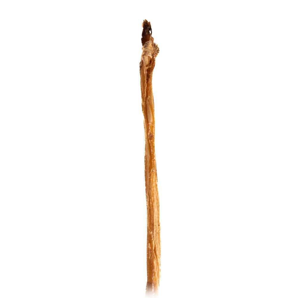 9-14" Lamb Pizzle Stick Single - Only One Treats