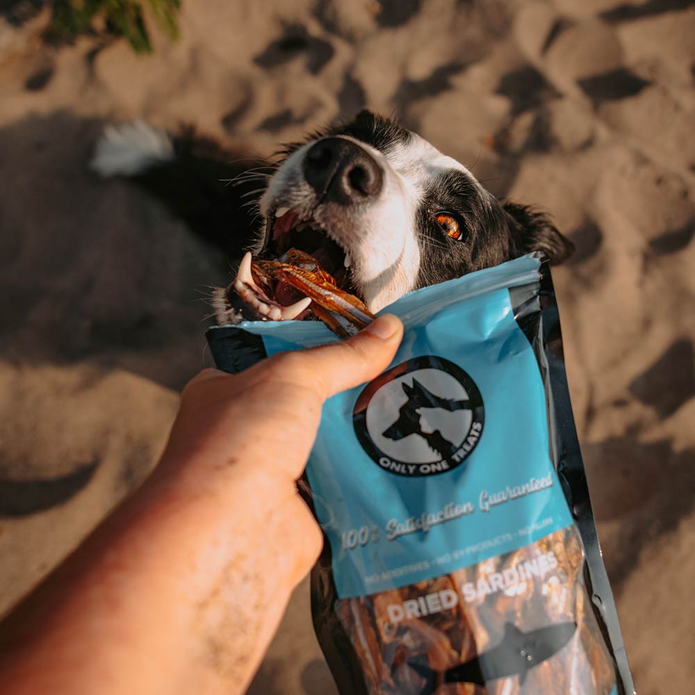 Dried Sardines 150g - Only One Treats