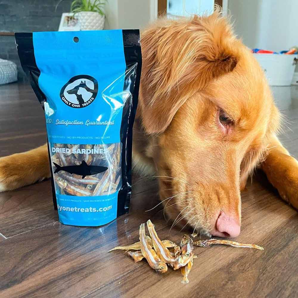Dried Sardines 90g - Only One Treats