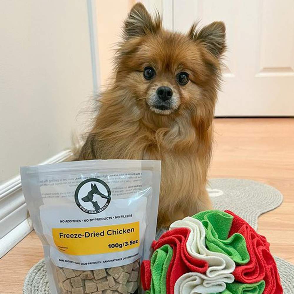 Freeze-Dried Chicken 100g - Only One Treats