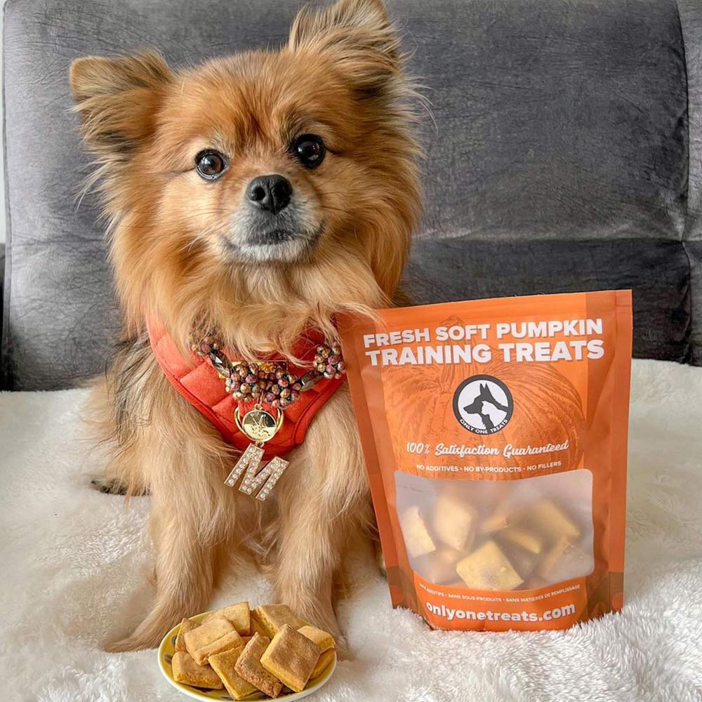 Fresh Soft Pumpkin Training Treats 170g - Only One Treats