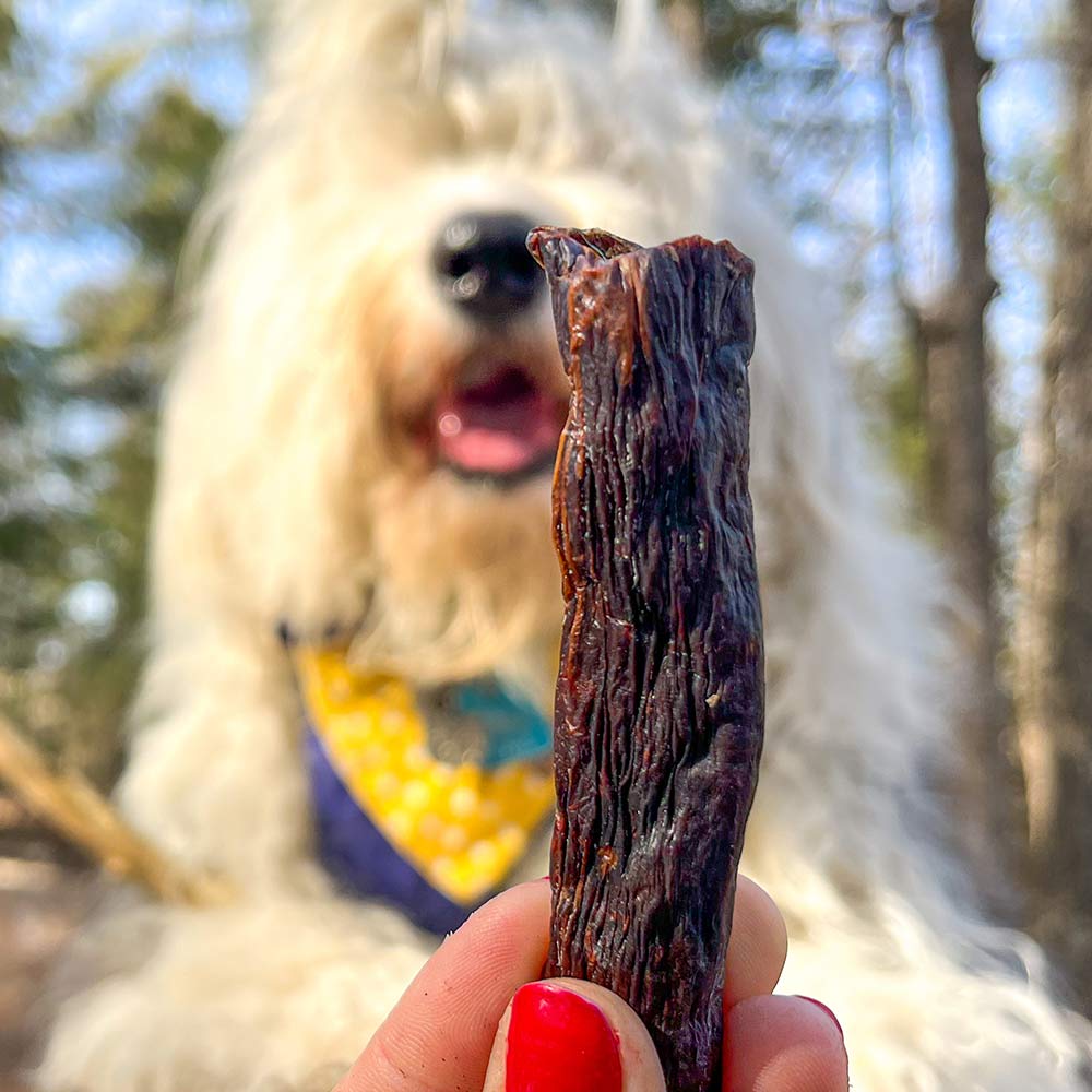 Rabbit & Beaver Sticks 110g - Only One Treats
