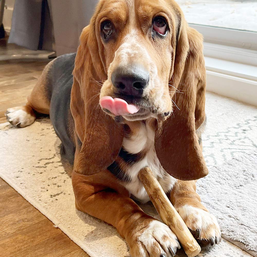 Small Coffee Wood Chew - Only One Treats
