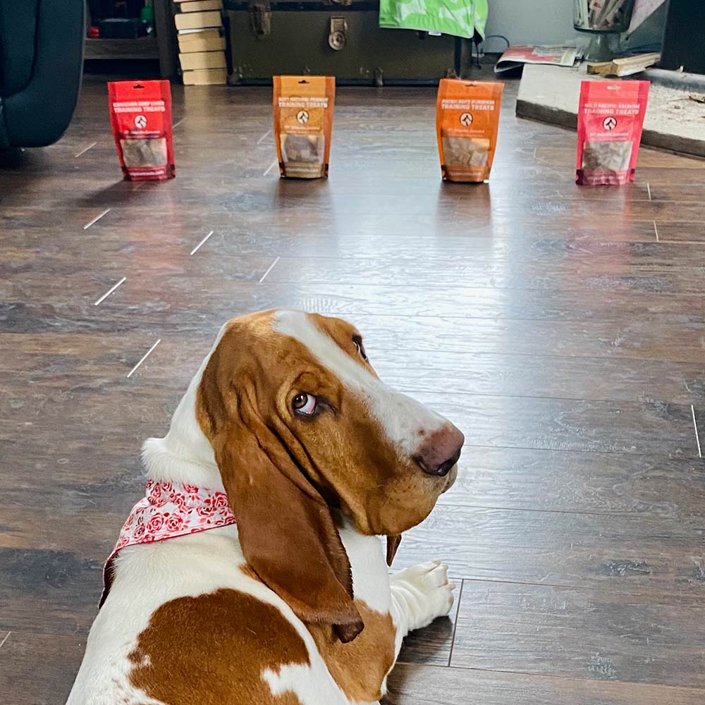 Training Treat Box - Only One Treats