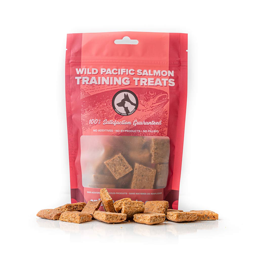 Wild Pacific Salmon Training Treats 170g - Only One Treats