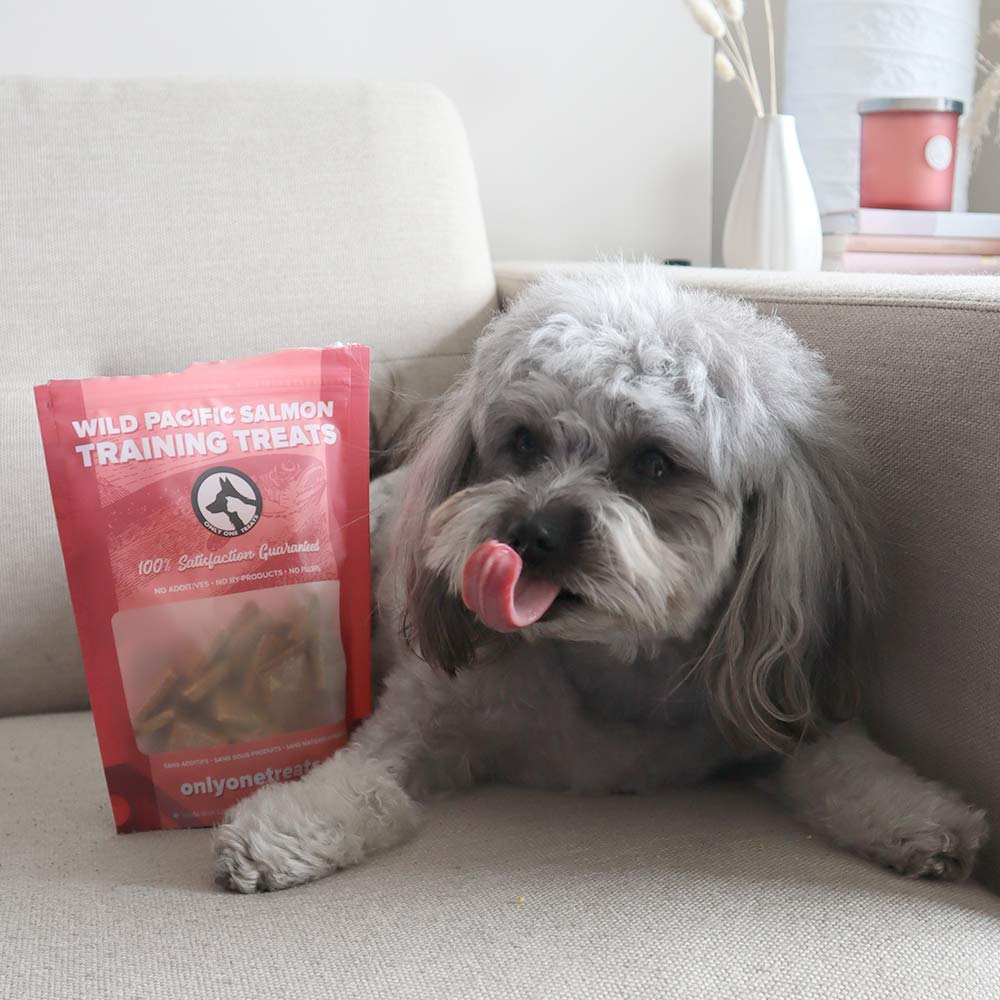 Wild Pacific Salmon Training Treats 170g - Only One Treats