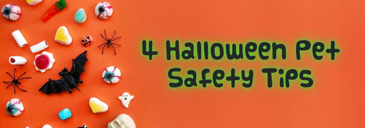 4 Halloween Pet Safety Tips - Only One Treats