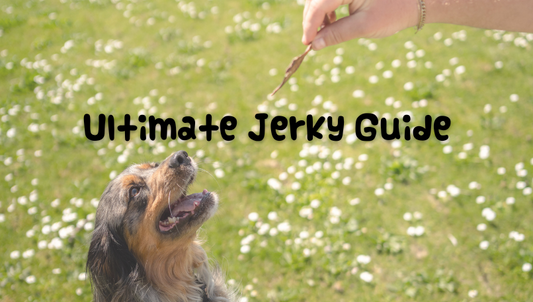Ultimate Jerky Guide for Dogs - Novel Jerky - Jerky for Dogs