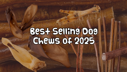 Bestselling Chews of 2025!
