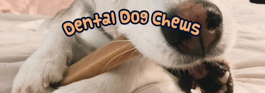 Dental Dog Chews