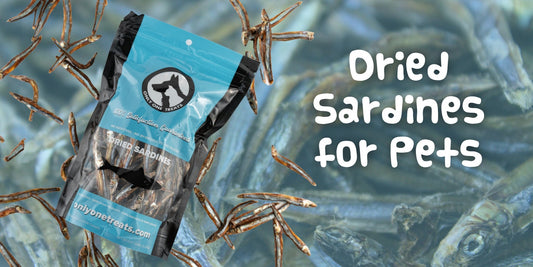 Dried Sardines for Pets - Only One Treats