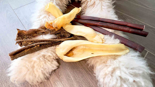 Ear Chews for Dogs: Everything you need to know! - Only One Treats