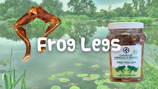 Frog Legs for Dogs