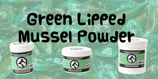 The Ultimate Guide to Green Lipped Mussel Powder for Pets - Only One Treats