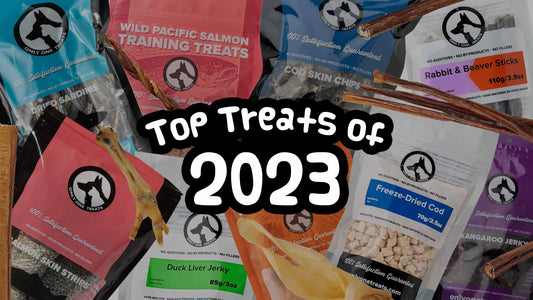 Top Pet Treats and Chews of 2023 - Only One Treats