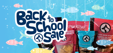 Sale Banner Image