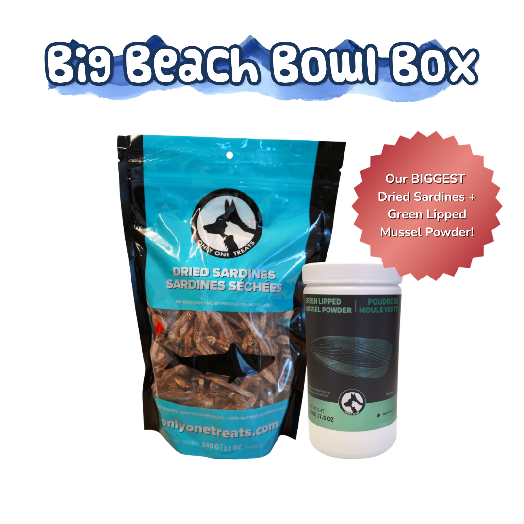 Big Beach Bowl Box - Dried Sardines - Green Lipped Mussel Powder - Only One Treats