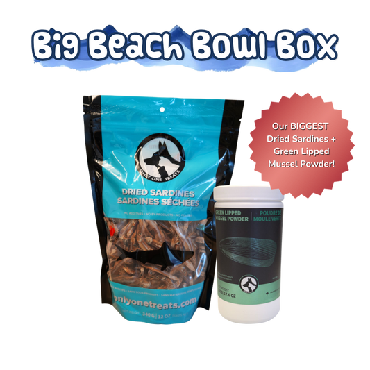 Big Beach Bowl Box - Dried Sardines - Green Lipped Mussel Powder - Only One Treats