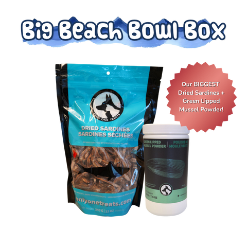 Big Beach Bowl Box