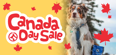 Sale Banner Image