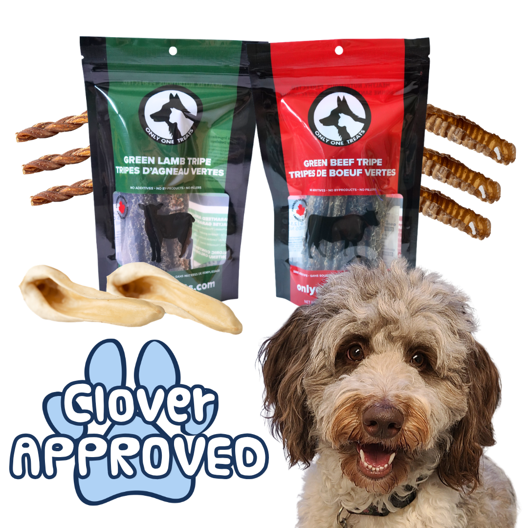 Chomper's Crunch Box - Dog Chew Box - Only One Treats