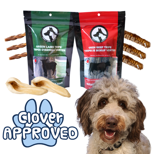 Chomper's Crunch Box - Dog Chew Box - Only One Treats